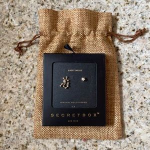 Secret box Sagittarius earrings